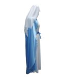 mary costume side view