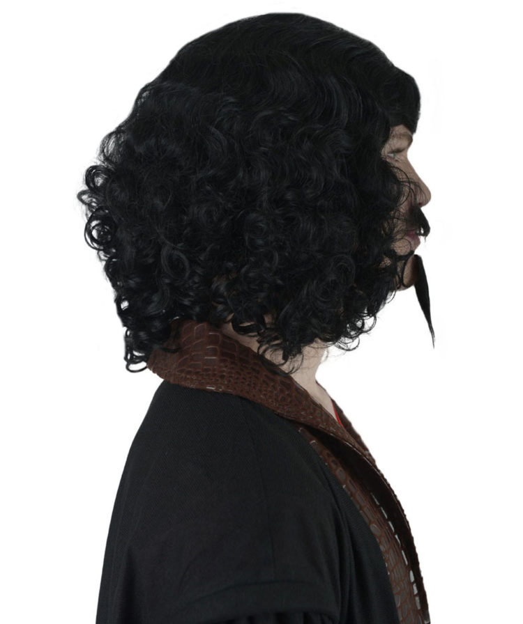 Renaissance Artist Wig Right Side View