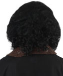 Renaissance Artist Wig Back Side View