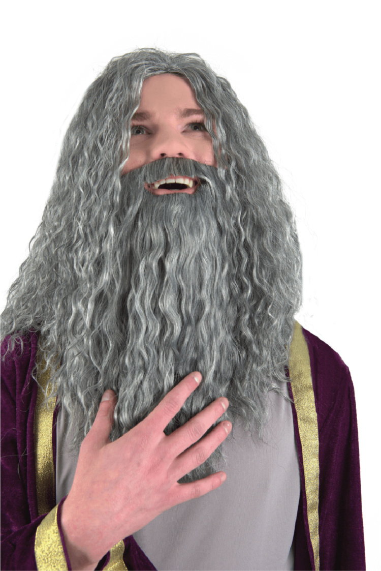 Wizard wig front view