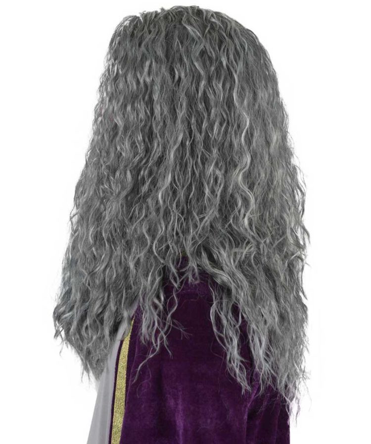 Wizard Wig Side View