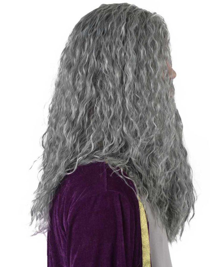 Wizard Wig & Beard Right Side View