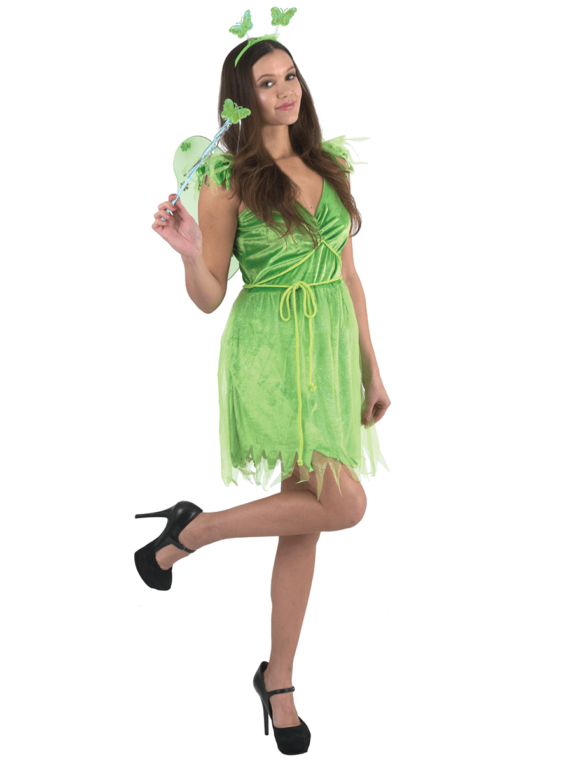 Fairy Halloween Costumes