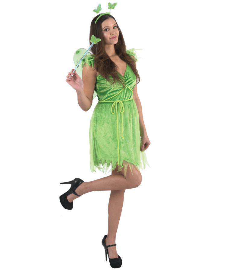 Fairy Halloween Costumes